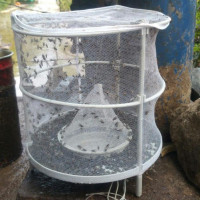 买2发3捕蝇器灭苍蝇笼灭蝇器自动粘蝇纸板苍蝇灯养殖场 三维工匠 链子款黄2个发3个灭蚊灯/吸蚊机/灭蝇灯