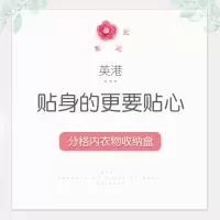 内衣抽屉式收纳盒子宿舍学生塑料整理箱特大号衣服内裤收纳箱 三维工匠