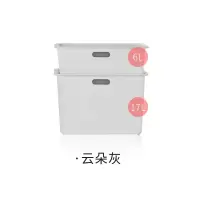 衣服收纳箱塑料特大号储物箱子后备箱收纳箱车载整理箱 三维工匠 半透哑白 6L-2个