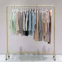 卧室衣架家用挂衣架子落地室内单杆式凉晾晒简易衣服可移动带滑轮 三维工匠 长100高205带轮纳米金色 1个