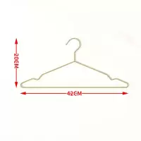 ins北欧金色衣架衣撑铁艺金属衣架简约风格家用衣架衣挂衣服架子衣架 三维工匠