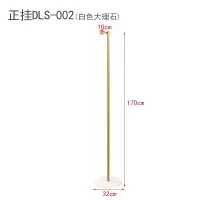 服装店橱窗展示架落地式挂衣架女装店正挂衣服架子样版陈列衣服架晾晒架 三维工匠 DLS-002金黑色 官方标配