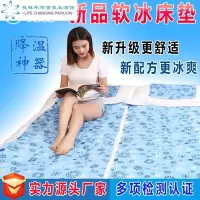新款软冰冰床垫学生宿舍多功能家居汽车清凉降温冰垫冰凉席厂家收纳袋 三维工匠