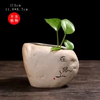 创意仿石头瓶绿萝水培花瓶器皿水养植物鲜花插花陶瓷桌面装饰摆件 三维工匠 SGY-佛(B款) 中等