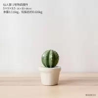 简约网红客厅迷你陶瓷仙人掌盆栽 ins创意家居宿舍桌面装饰品摆件 三维工匠 仙人掌-1号陶瓷盆栽