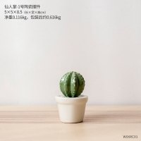 简约网红客厅迷你陶瓷仙人掌盆栽 ins创意家居宿舍桌面装饰品摆件 三维工匠 仙人掌-5号陶瓷盆栽