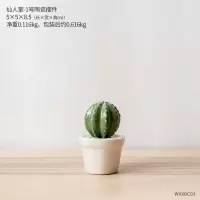 简约网红客厅迷你陶瓷仙人掌盆栽 ins创意家居宿舍桌面装饰品摆件 三维工匠 仙人掌-8号陶瓷盆栽
