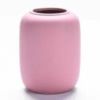 陶瓷创意小花瓶现代简约客厅家居桌面摆件小号插花莫兰迪色装饰 三维工匠 XD-素烧花插-A15