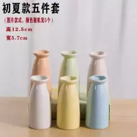 陶瓷满天星小花瓶摆件家居装饰客厅欧式水培干插花器玻璃透明客厅 三维工匠 映梦款[五件套]