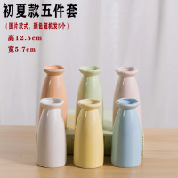 陶瓷满天星小花瓶摆件家居装饰客厅欧式水培干插花器玻璃透明客厅 三维工匠 混搭款[五件套]