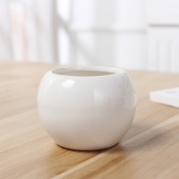 圆球陶瓷花瓶 纯色盆栽小花瓶 创意现代简约客厅桌面陶瓷摆件 三维工匠 白色E款高16肚径20亮面