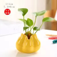 创意绿萝水培铜钱花瓶器皿陶瓷花盆水养小花器摆件客厅插花干花 三维工匠 FH-花瓣花器-黄+粉+绿(3件套) 小
