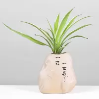 铜钱水培花盆陶瓷创意花瓶摆件小号迷你花器桌面绿萝水养器皿 三维工匠 褐色2禅茶一味