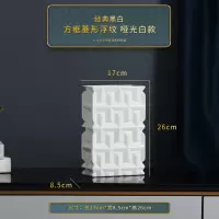 欧式现代塑几何艺术设计师花瓶陶瓷花器黑白方形花插样板房摆件 三维工匠 圆形浮纹哑光白大款