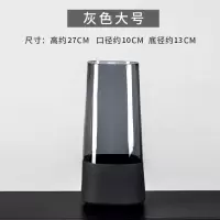 花瓶玻璃透明鲜花干花插花花器美式水培富贵竹银柳瓶插客厅小摆件 三维工匠 小号