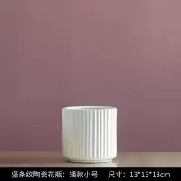北欧轻奢创意现代简约餐桌花长筒白色陶瓷花瓶摆件客厅电视柜插花 三维工匠 竖条纹陶瓷花瓶:矮款小号