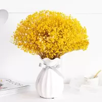 欧式装饰满天星永生花陶瓷花瓶小清新客厅餐桌家居插花摆件 三维工匠 红色满天星 大