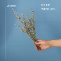 北欧简约现代陶瓷花瓶摆件客厅干花插花ins风创意餐桌家居装饰品 三维工匠 大号花瓶