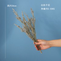 北欧简约现代陶瓷花瓶摆件客厅干花插花ins风创意餐桌家居装饰品 三维工匠 粉色干花