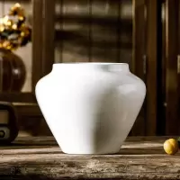 纯白色花瓶干花装饰摆件陶瓷客厅摆设瓷器花器景德镇瓷器大号陶罐 三维工匠 无光白高号+10支黄色跳舞兰