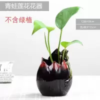 创意绿萝水培小花瓶陶瓷容器 迷你水养花盆植物器皿 客厅圆形摆件 三维工匠 青蛙莲花花器 小