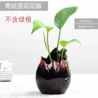 创意绿萝水培小花瓶陶瓷容器 迷你水养花盆植物器皿 客厅圆形摆件 三维工匠 蝴蝶莲蓬花 小