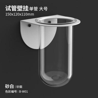 创意墙壁装饰品壁挂件简约北欧铁艺玻璃水培植物试管壁饰 三维工匠 试管壁挂单管大号砂白