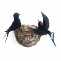 仿真燕窝展翅飞燕子小鸟装饰品墙饰壁饰家居装饰客厅幼儿园装饰 三维工匠 套装4(+1个大燕头)