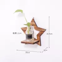 创意家居装饰品墙饰挂饰养殖花器房间壁挂水培花绿萝透明花瓶挂墙 三维工匠 菠萝款+瓶子(送魔力贴)壁饰