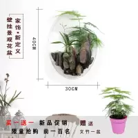 壁饰墙饰壁挂花盆墙上创意装饰品挂件墙壁鱼缸卧室客厅店墙面装饰 三维工匠 根雕款送文竹+钉子)