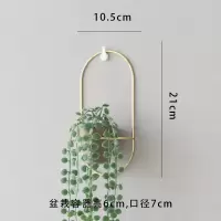 北欧风现代创意个性墙面壁挂仿真绿植壁饰花盆花艺家居玄关装饰品 三维工匠 中号白色+米兰叶
