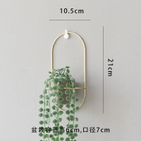 北欧风现代创意个性墙面壁挂仿真绿植壁饰花盆花艺家居玄关装饰品 三维工匠 金框+仿真圆叶