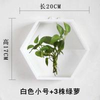 壁挂花盆欧式田园客厅阳台墙上多肉水培植物创意花盆墙壁装饰壁饰 三维工匠 白色六边形小号(送绿萝)