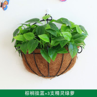 墙上装饰品花饭店墙面绿植挂墙壁花篮壁饰假花客厅挂件创意简约 三维工匠 三支把束白边爬山虎+棕榈挂篮