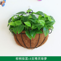 墙上装饰品花饭店墙面绿植挂墙壁花篮壁饰假花客厅挂件创意简约 三维工匠 三支把束白边爬山虎+棕榈挂篮