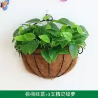 墙上装饰品花饭店墙面绿植挂墙壁花篮壁饰假花客厅挂件创意简约 三维工匠 三支把束精灵绿萝+棕榈挂篮