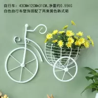 田园创意墙上铁艺自行车花篮壁挂壁饰餐厅墙面装饰品客厅墙壁挂饰 三维工匠 白色车花艺3