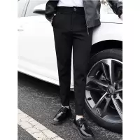 SUNTEK秋季厚款修身西装裤子男韩版潮流休闲百搭九分裤港风男生小脚西裤西裤