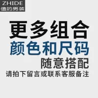 SUNTEK2件装 中国风男亚麻T恤春秋季长袖体恤V领棉麻男装大码修身上衣潮T恤