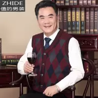 SUNTEK秋装新款毛衣马甲中年男士宽松背心中老年人无袖针织开衫老人坎肩马甲/背心