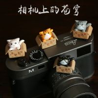 摄影入魔 喵咪创意热靴盖相机卡通佳能尼康富士索尼配件可爱龙猫