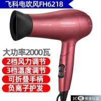 FH6218电吹风机负离子家用发廊理发店冷热风筒静音宿舍寝室用 【飞科】负离子6218 标配