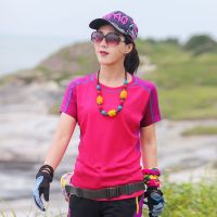 珂卡慕(KEKAMU)户外速干衣运动T恤短袖女圆领拼色吸汗透气大码显瘦快干衣夏