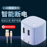 充电头苹果手机ipad充电器插头usb插座快充安卓通用自动断电|[充满自动断电][蓝色2usb]-送苹果数据线