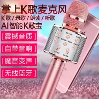 麦克风手机全民k歌神器无线蓝牙音箱儿童家用ktv唱歌变声话筒音响Y6