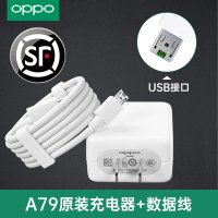 OPPO充电器原装oppoR15R17R9sR11R11s闪充充电器|【A79】原装充电器+闪充数据线