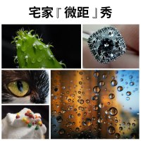 4k超广角手机镜头华为苹果专业单反高清拍摄前置外置摄像放大镜辅助通用拍照神|【宅家『微距』秀：宅在家发现生活中的小美好】