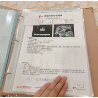 【苏宁好货】产检孕期孕检便携检查文件夹单子资料放孕期的袋报告孕妇收纳袋