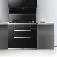 集成油烟机5909S+90B8X