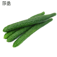 现摘河北农家蔬菜带刺水果黄瓜新鲜生吃清脆可口绿青瓜5斤3斤